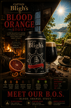 Load image into Gallery viewer, Beer - Case Of 12 x 375ml Cans
