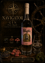 Load image into Gallery viewer, Navigator Gin
