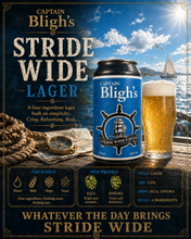 Load image into Gallery viewer, Beer - Case Of 12 x 375ml Cans
